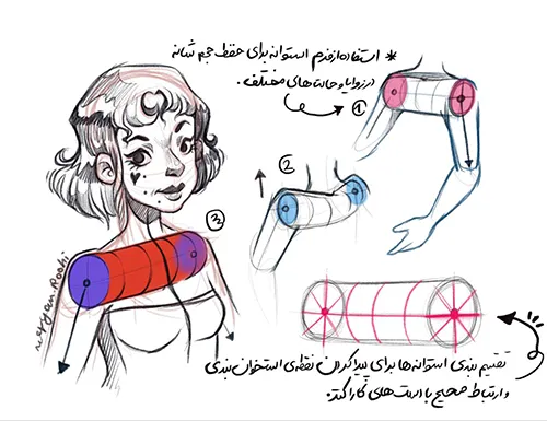 نکات کاربردی طراحی شانه و استخوان‌بندی